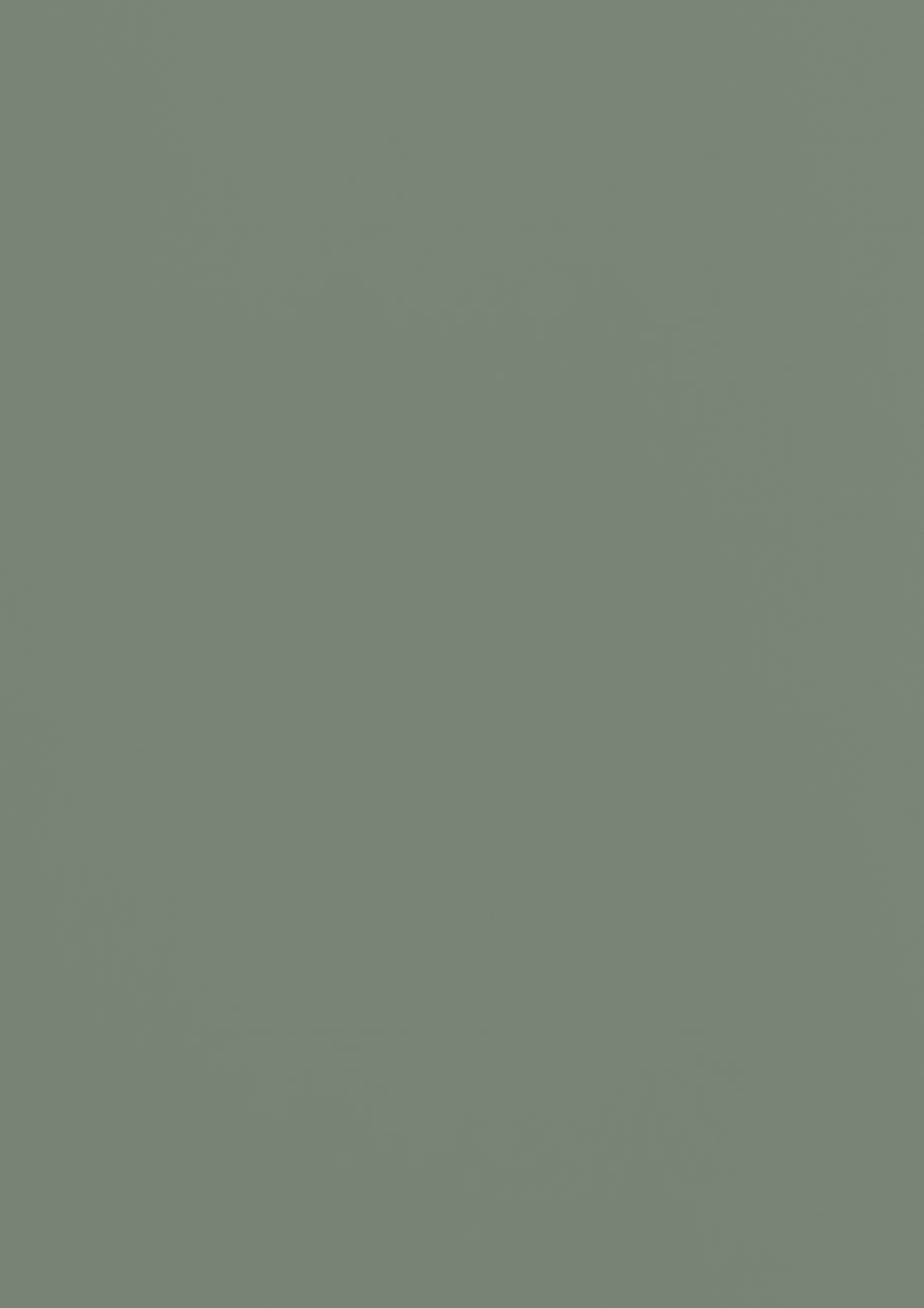 RENOLIT 3D Thermolaminate - Reed Green Premier Matt Protected