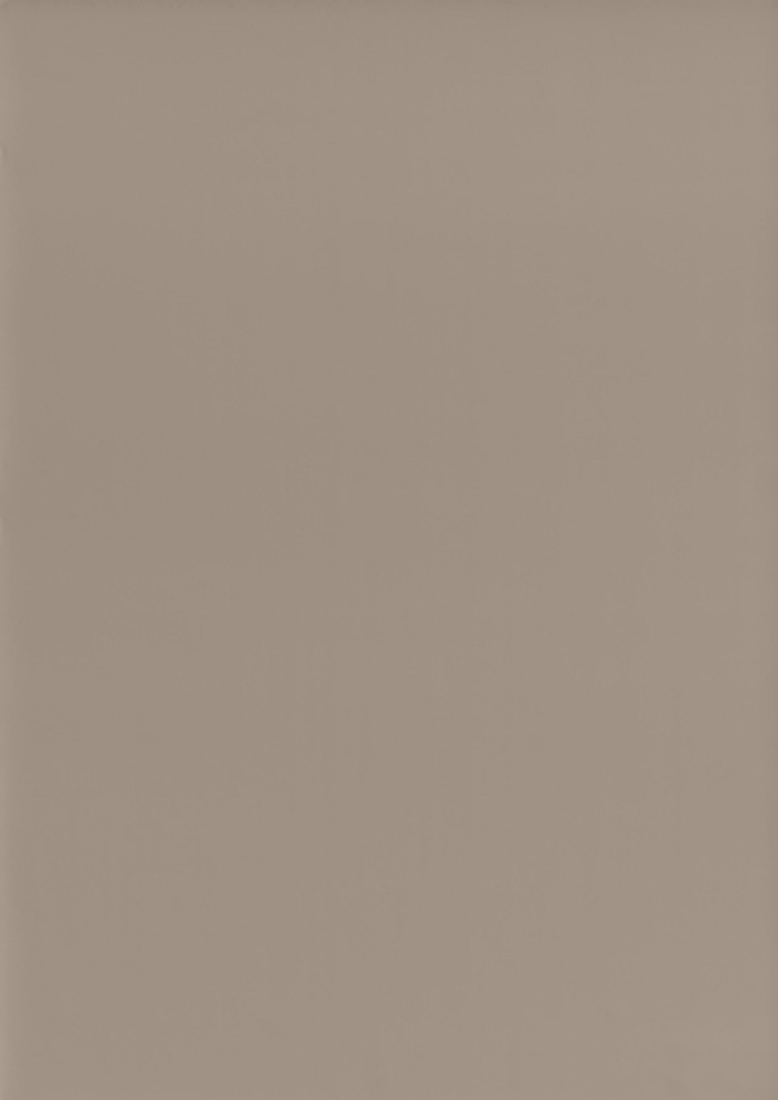 RENOLIT 3D Thermolaminate - Stone Grey Supermatt Classic