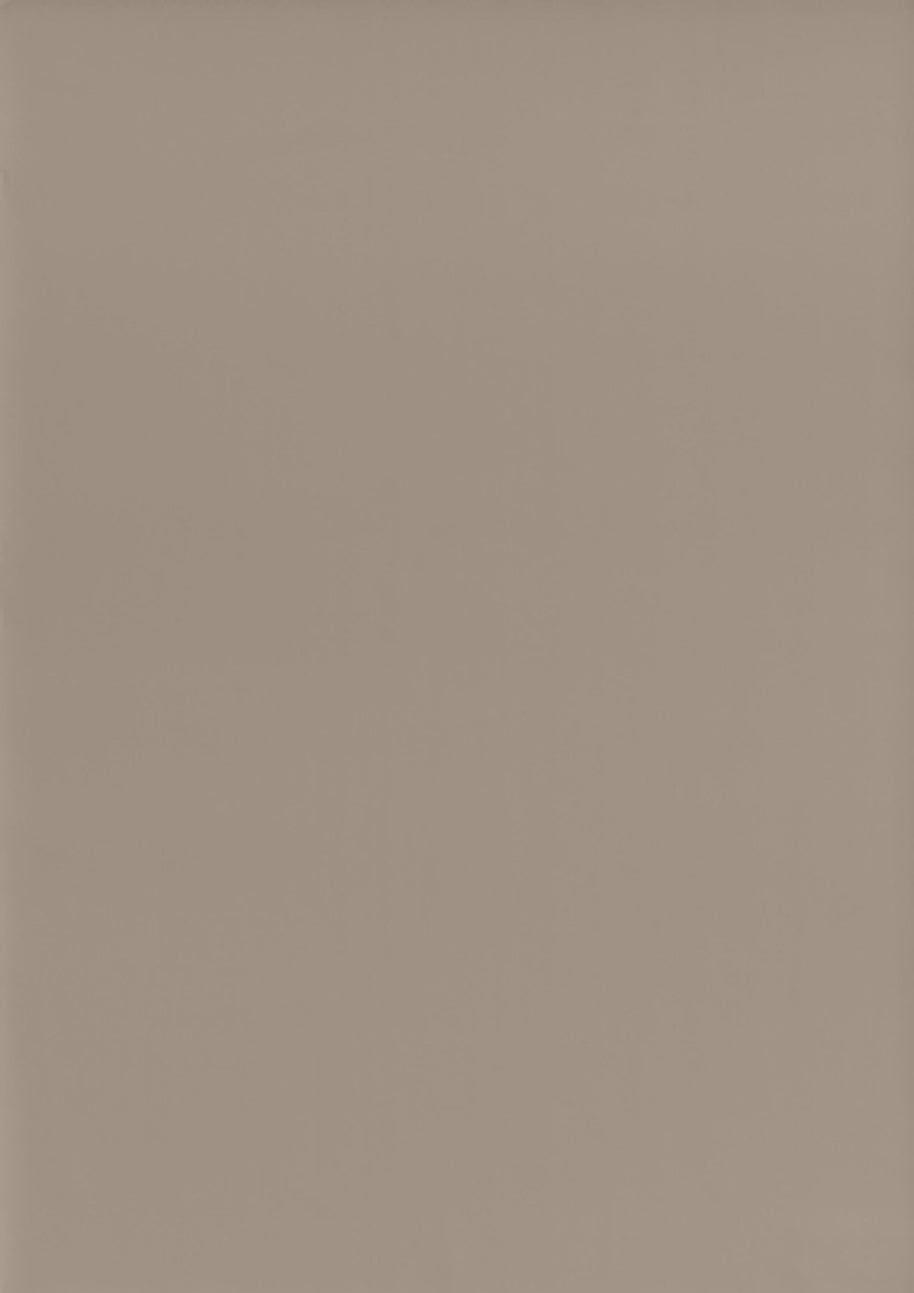 RENOLIT 3D Thermolaminate - Stone Grey Supermatt Classic