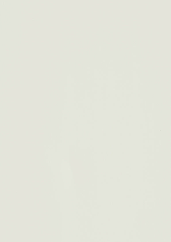 RENOLIT 3D Thermolaminate - Delphi White Grey Premier Matt