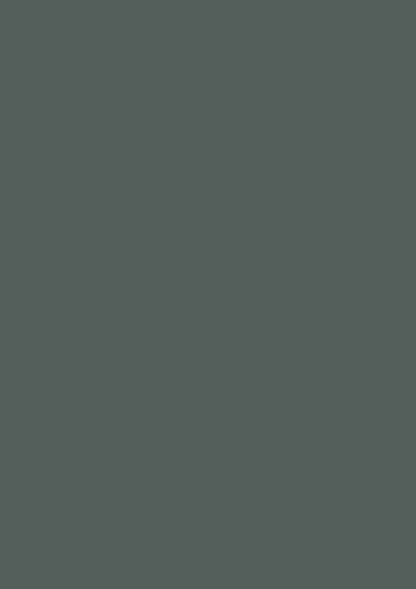 RENOLIT 3D Thermolaminate - Stone Green Premier Matt