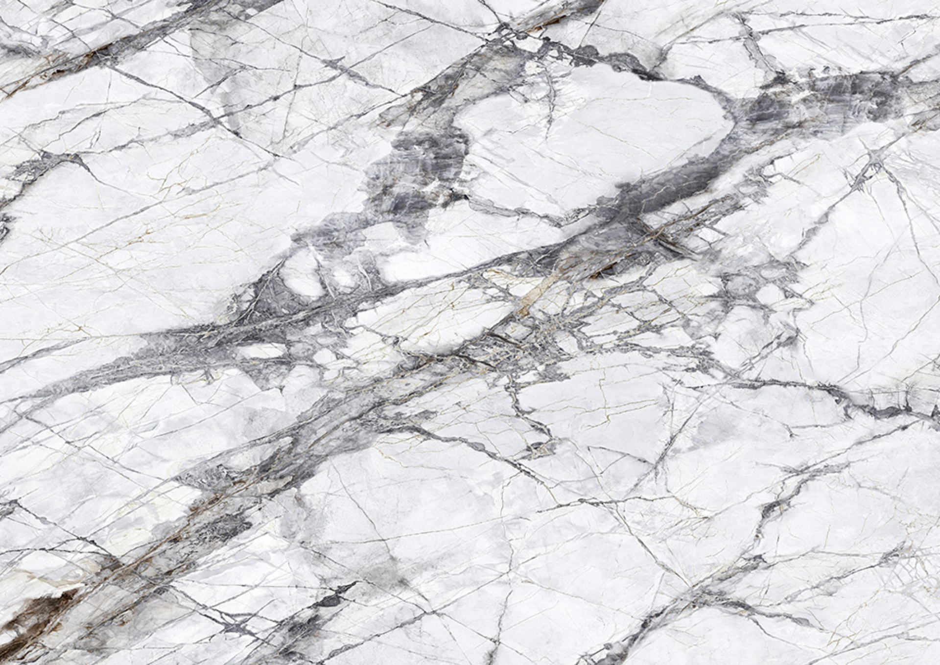 Teravia White 101121