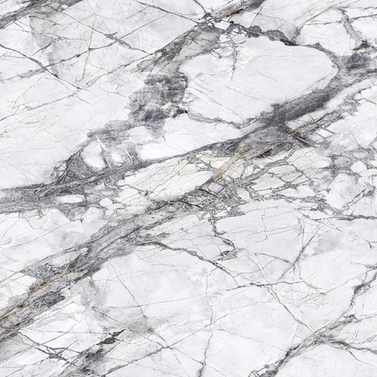 Teravia White 101121